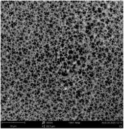 image file: d5ra08723f-u11.tif