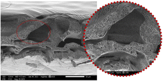 image file: d5ra08723f-u2.tif