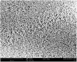 image file: d5ra08723f-u3.tif