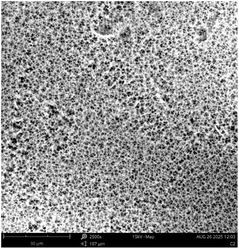 image file: d5ra08723f-u5.tif