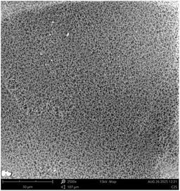 image file: d5ra08723f-u7.tif