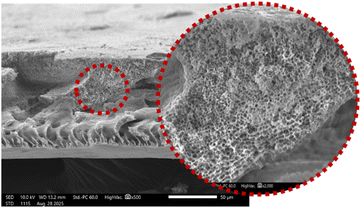 image file: d5ra08723f-u8.tif