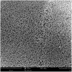 image file: d5ra08723f-u9.tif