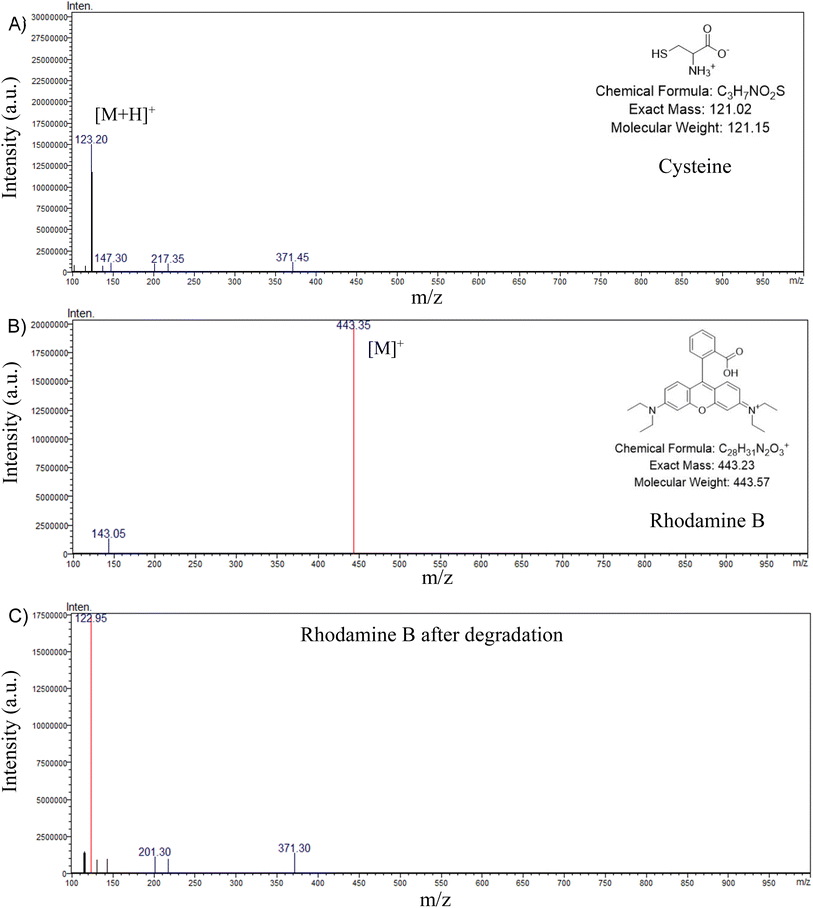 image file: d5ra08780e-f2.tif