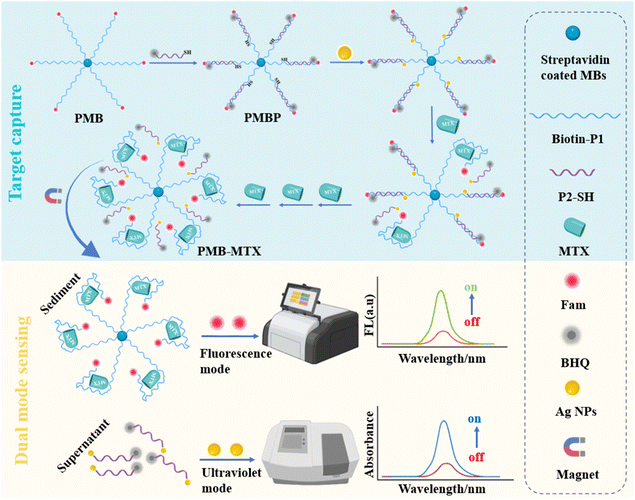 image file: d5ra08792a-s1.tif