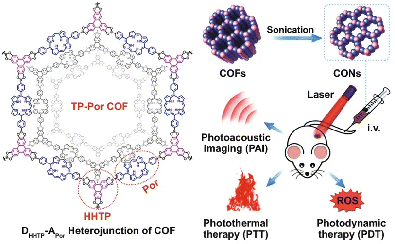 image file: d5ra08804f-f44.tif