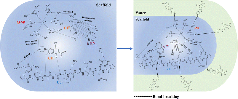 image file: d5ra09090c-s2.tif