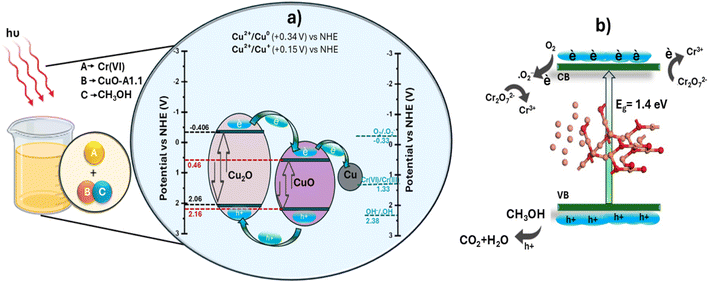 image file: d5ra09131d-s3.tif