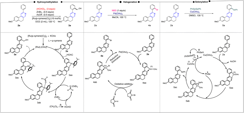image file: d5ra09256f-s2.tif