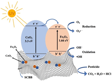 image file: d5ra09280a-s1.tif
