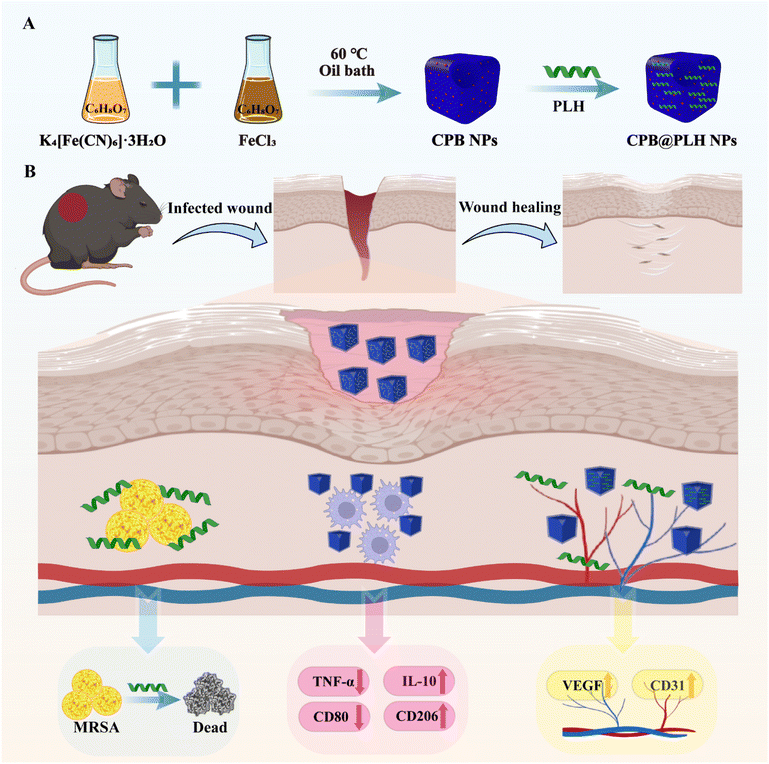 image file: d5ra09475e-s1.tif