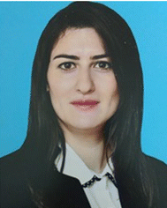 image file: d5ra09525e-p4.tif