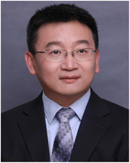 image file: d5ra09557c-p4.tif