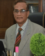 image file: d5ra09579d-p5.tif