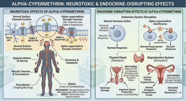 image file: d5ra09623e-f1.tif
