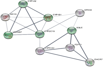 image file: d5ra09649a-u2.tif