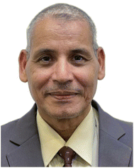 image file: d5ra09833e-p5.tif