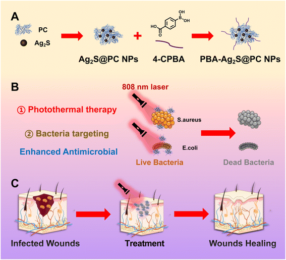 image file: d5ra09845a-s1.tif