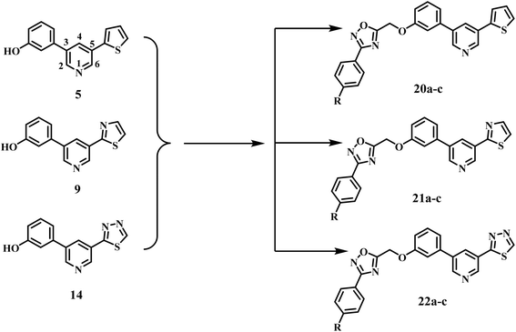 image file: d6ra00207b-u1.tif