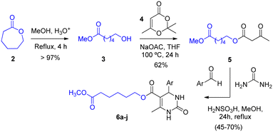 image file: d6ra00701e-s1.tif