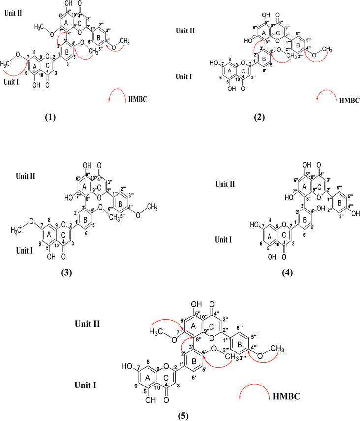 image file: d6ra00755d-f3.tif