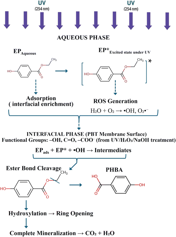 image file: d6ra00957c-s2.tif