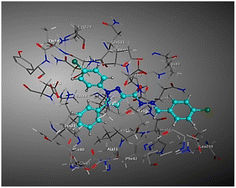 image file: d6ra01643j-u2.tif