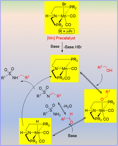 image file: d6ra02092e-s2.tif