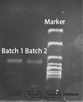 image file: d6ra02441f-f2.tif