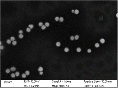 image file: d6ra02441f-f4.tif