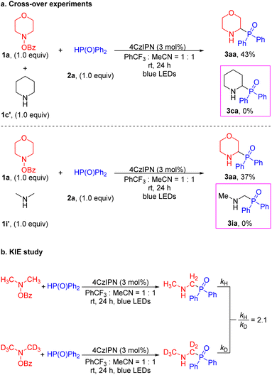 image file: d5sc00268k-s5.tif