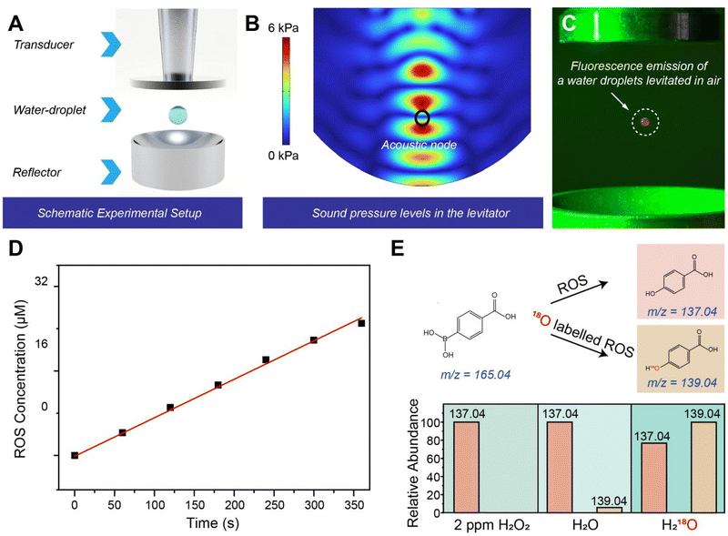 image file: d5sc01631b-f1.tif