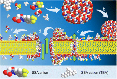 image file: d5sc03376d-f8.tif