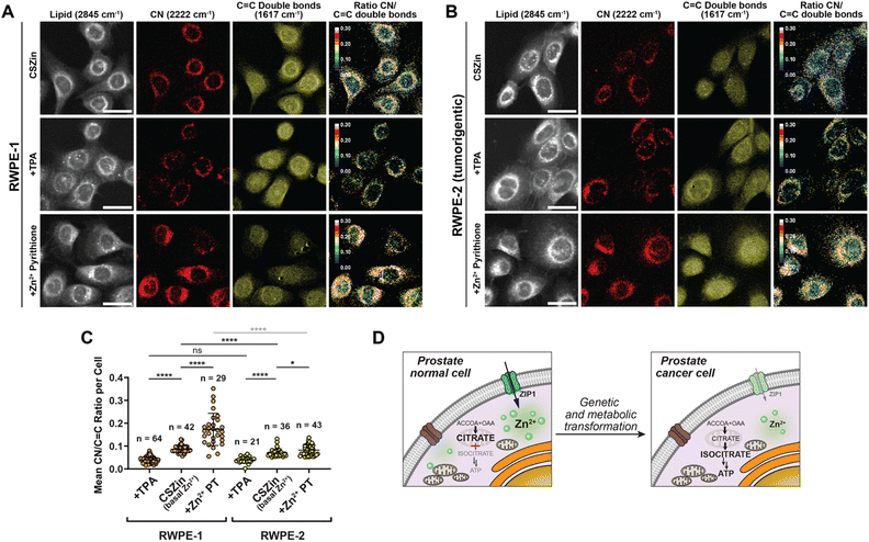 image file: d5sc03442f-f6.tif