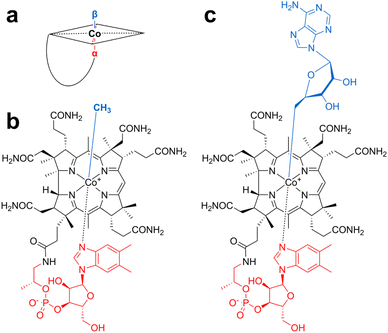 image file: d5sc04531b-f1.tif