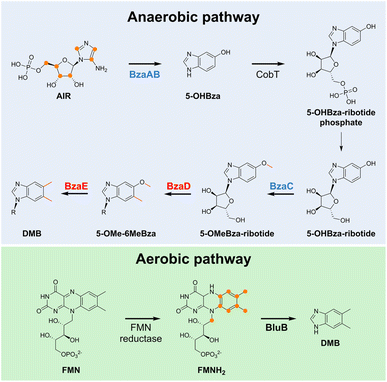image file: d5sc04531b-f3.tif