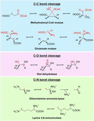 image file: d5sc04531b-f4.tif