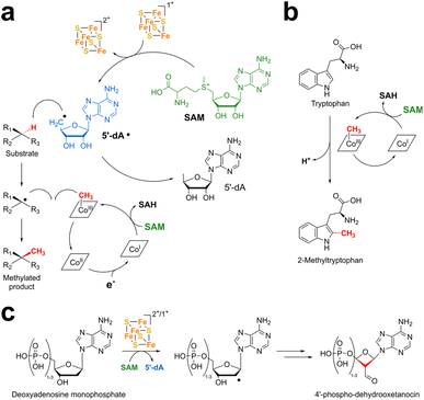 image file: d5sc04531b-f6.tif
