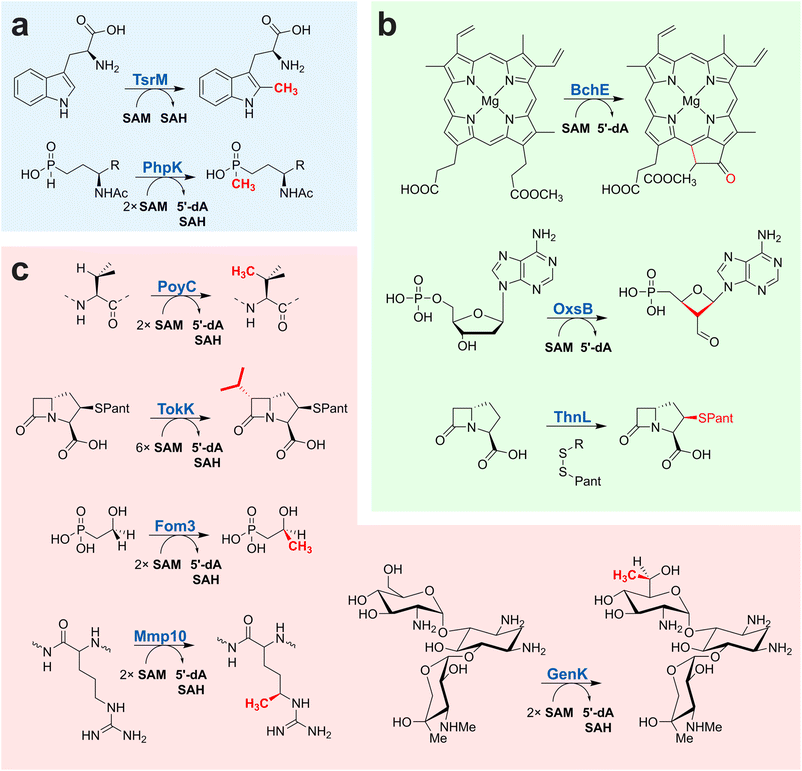 image file: d5sc04531b-f7.tif