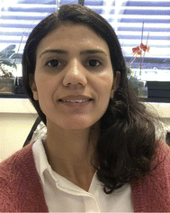 image file: d5sc04531b-p5.tif