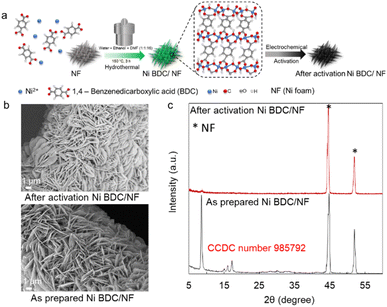 image file: d5sc04651c-f1.tif