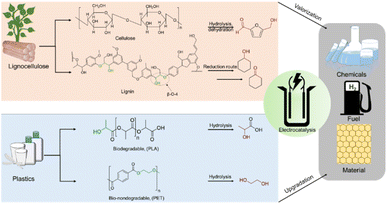 image file: d5sc04651c-s1.tif