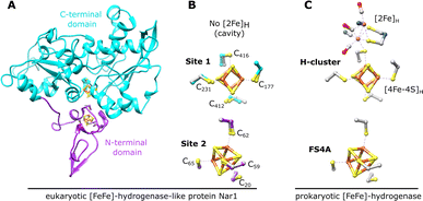 image file: d5sc04860e-f1.tif