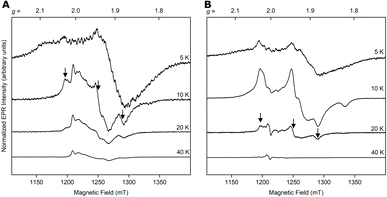 image file: d5sc04860e-f3.tif