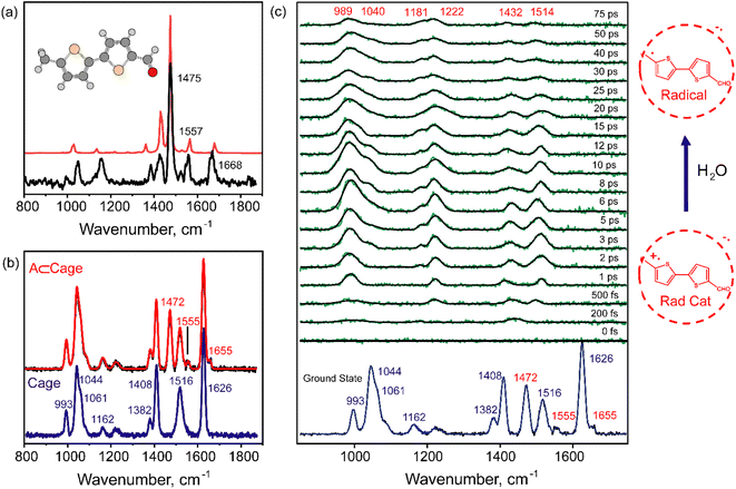 image file: d5sc05247e-f4.tif