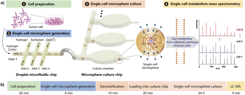 image file: d5sc05261k-f1.tif