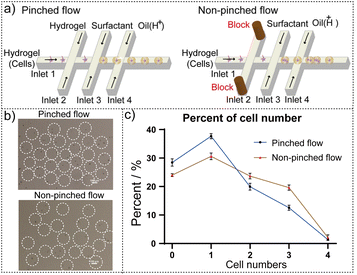 image file: d5sc05261k-f2.tif