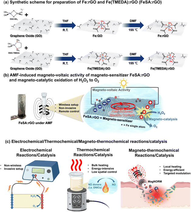 image file: d5sc05275k-s1.tif