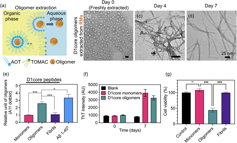 image file: d5sc05433h-f1.tif
