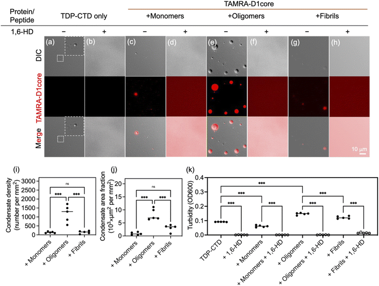 image file: d5sc05433h-f2.tif